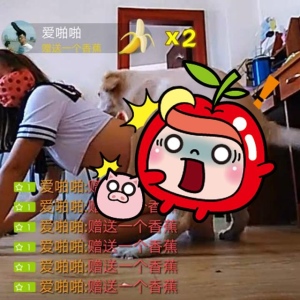 提姆正妹