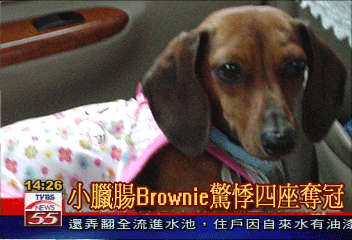 提姆正妹